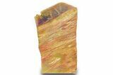 Free Standing Petrified Wood (Araucarioxylon) - Arizona #371662-1
